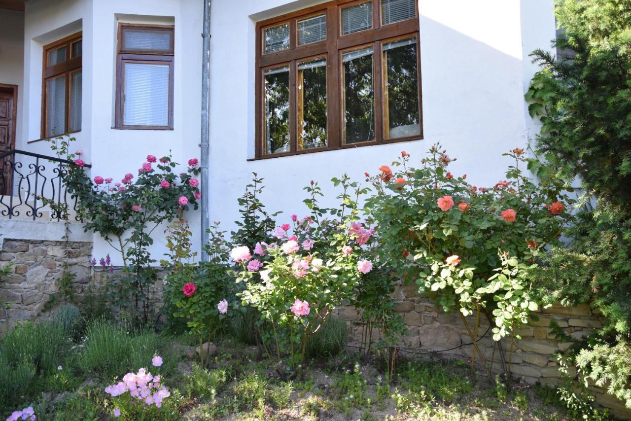 ארבאנאסי Guest House Astra מראה חיצוני תמונה
