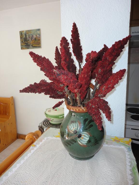 ארבאנאסי Guest House Astra חדר תמונה