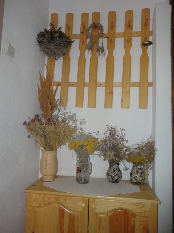 ארבאנאסי Guest House Astra מראה חיצוני תמונה